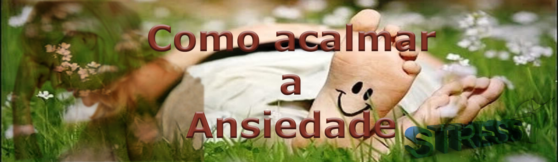 Como%20acalmar%20a%20ansiedade%201920%20novo