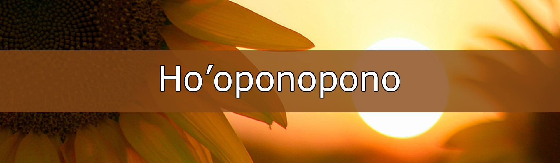 Hopono%201920