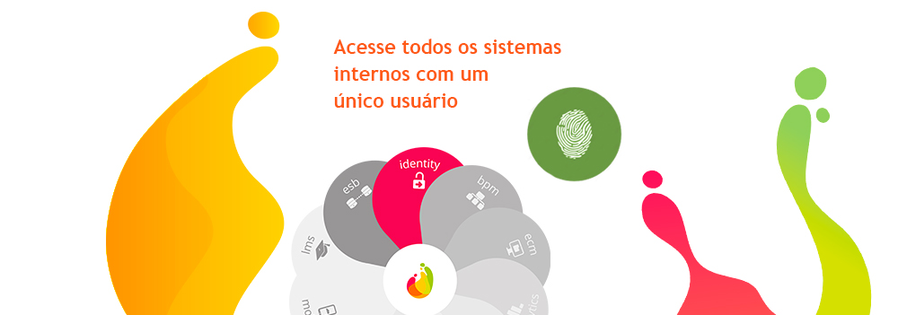 Identity banner definitivo