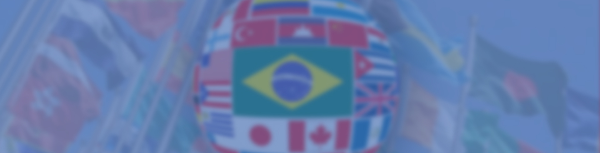 Modelo banner topo