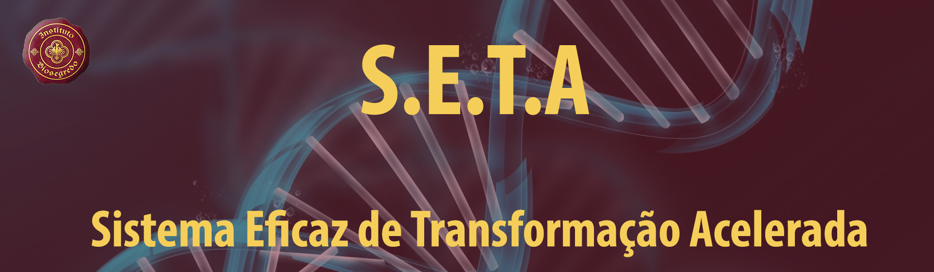 Seta%201920x560
