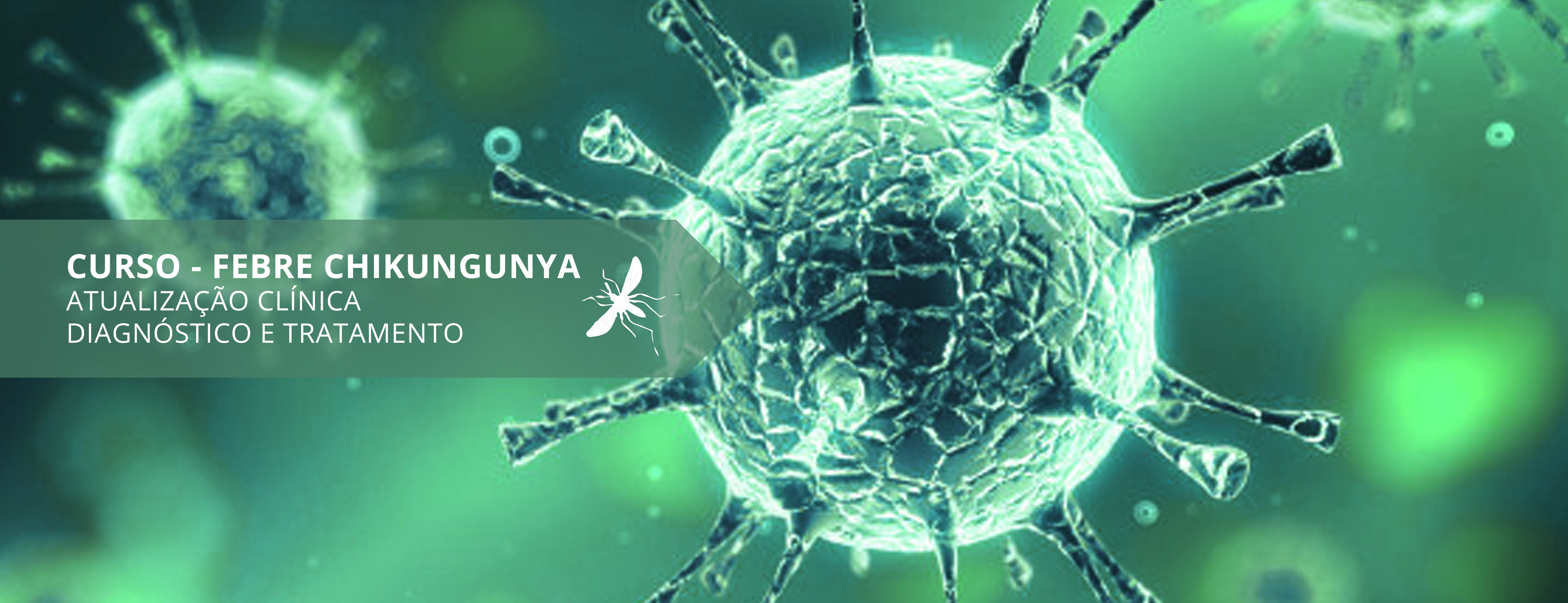 Banner chikungunya