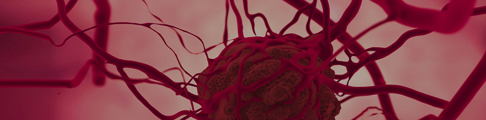 Cancer mama banner%20interno%20 2