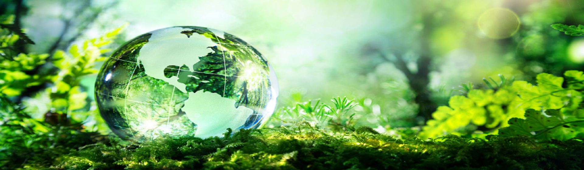 Iso14001 20151