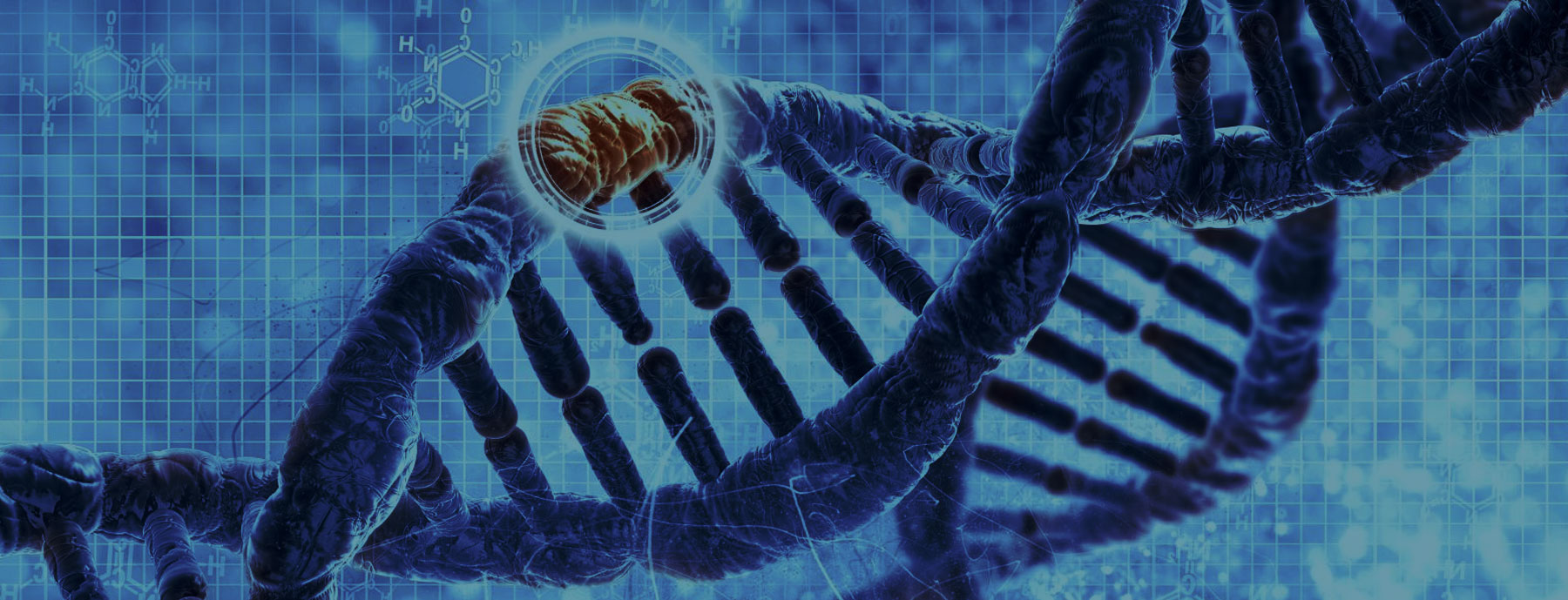 Biologia banner interno