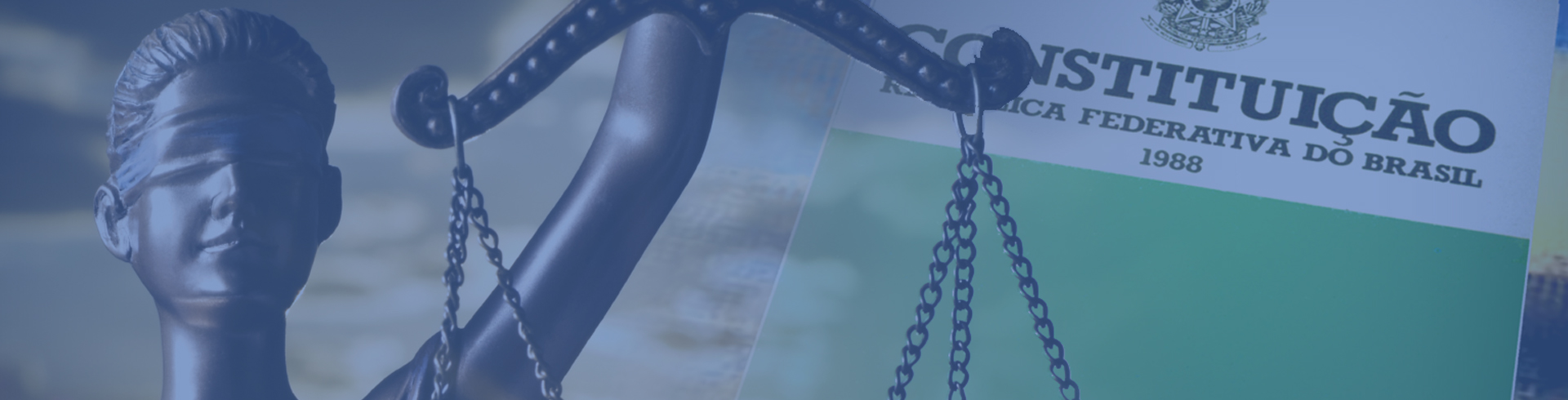 Modelo banner topo