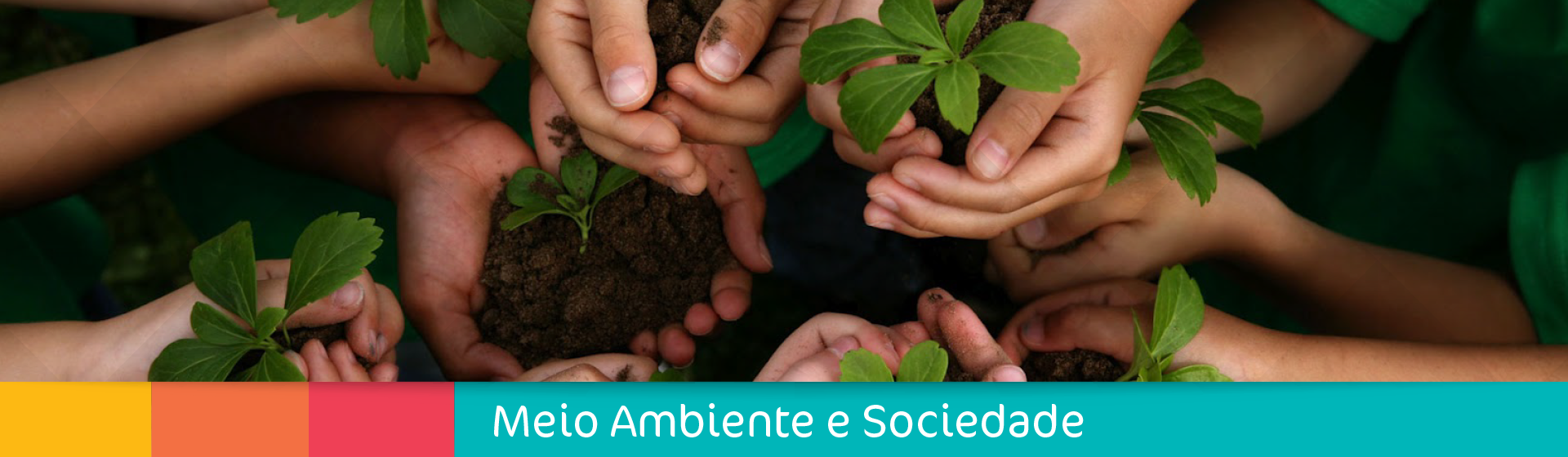 Meioambiente sociedade 1