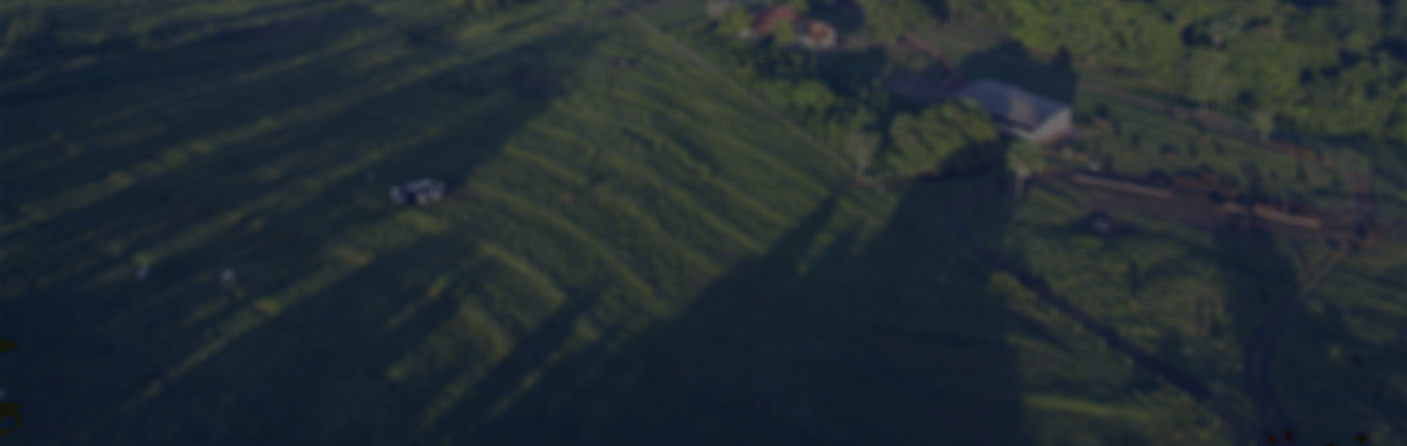 Banner%20curso%20generico