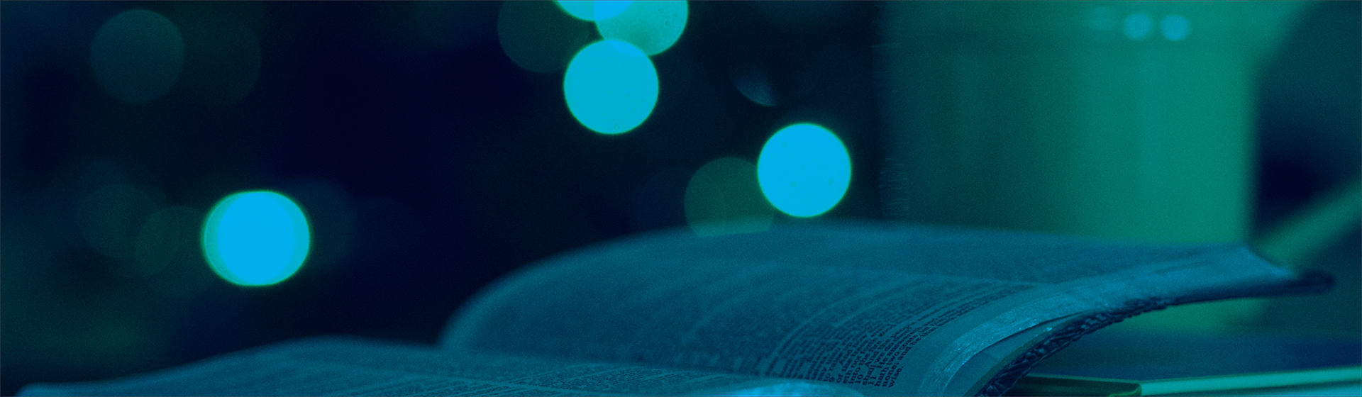 Misterios%20do%20novo%20nascimento%20banner