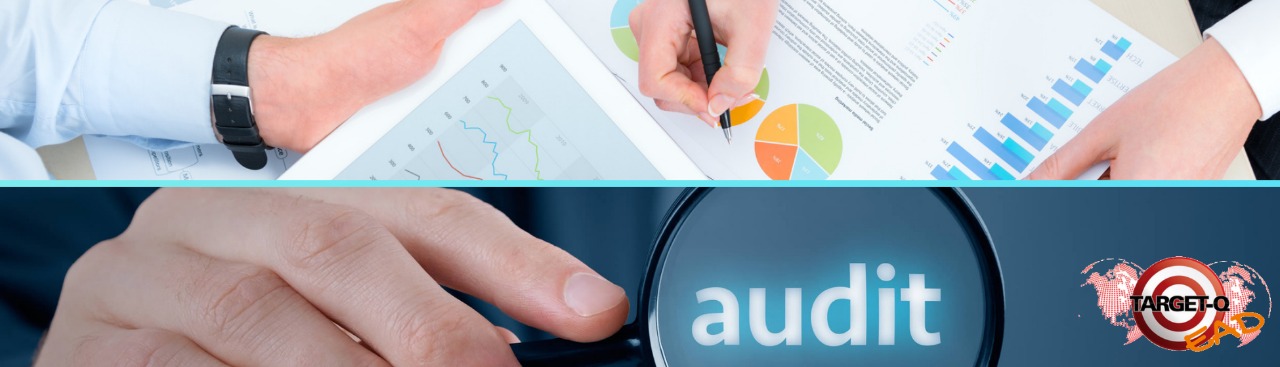 Banner%20auditor%20iso%209001