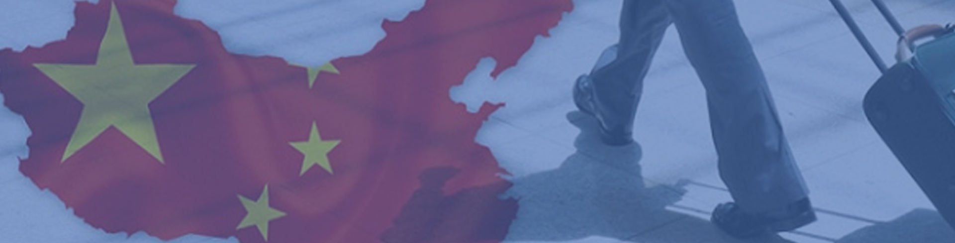 Modelo banner topo