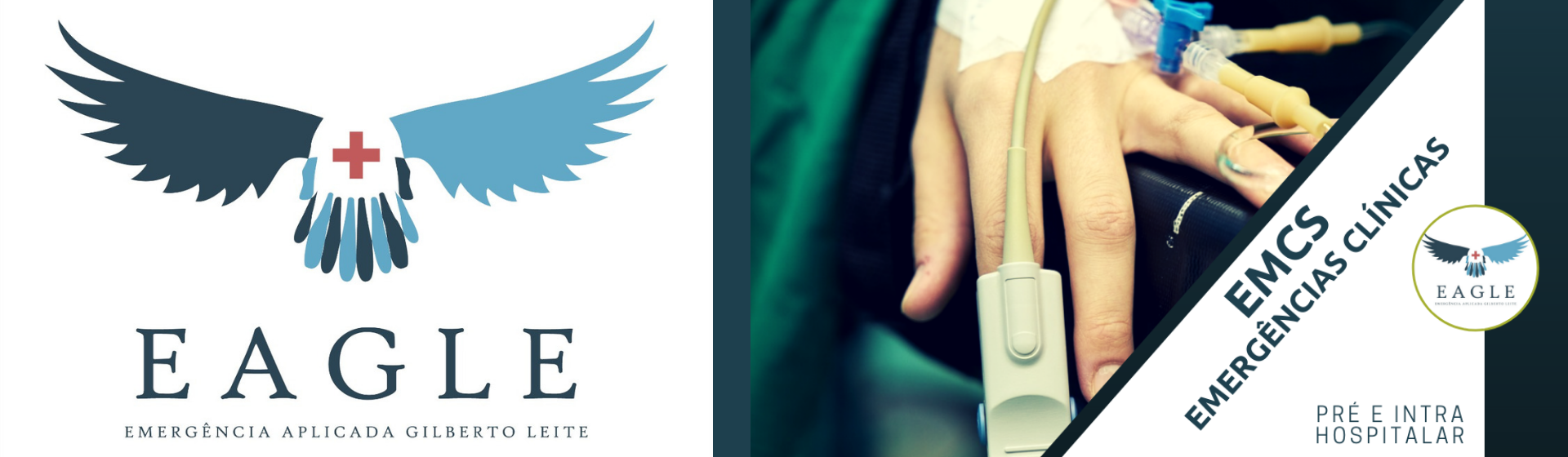Banner%20emcs%20online