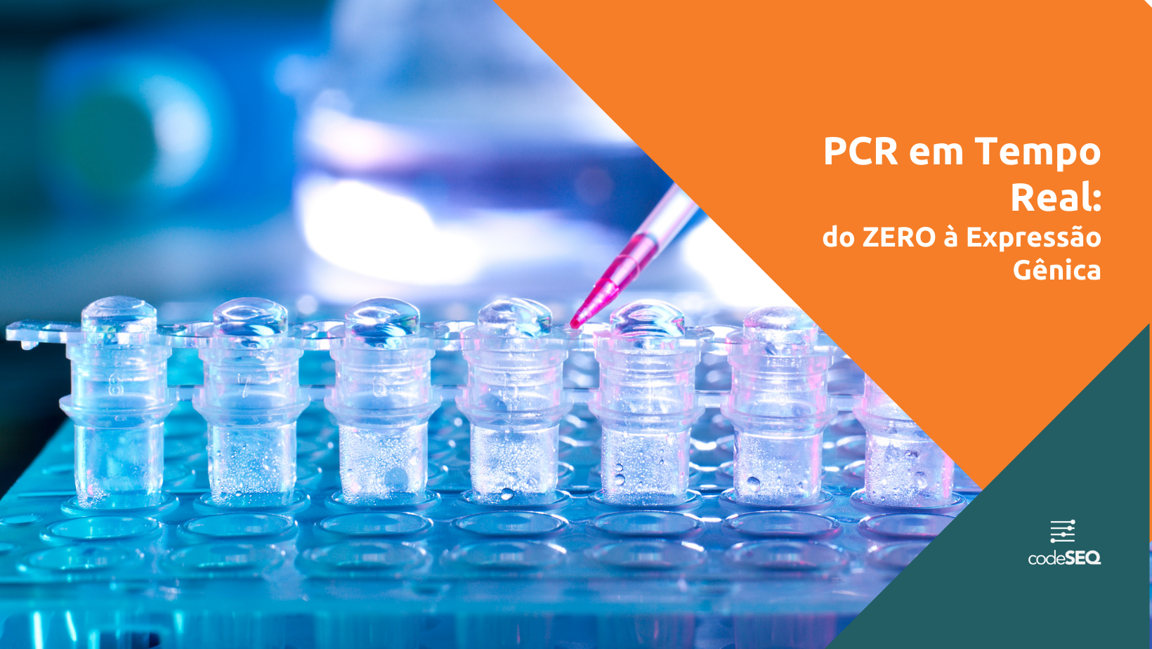 Pcr%20em%20tempo%20real%20do%20zero%20%c3%a0%20express%c3%a3o%20g%c3%aanica