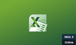 1425995130 excel 2010 modulo ii  online 