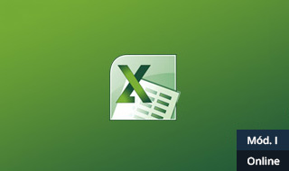 1425908672 excel 2010 modulo i  online %20 2 