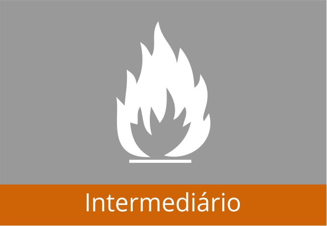 %c3%adcones cursos nr20 interm2