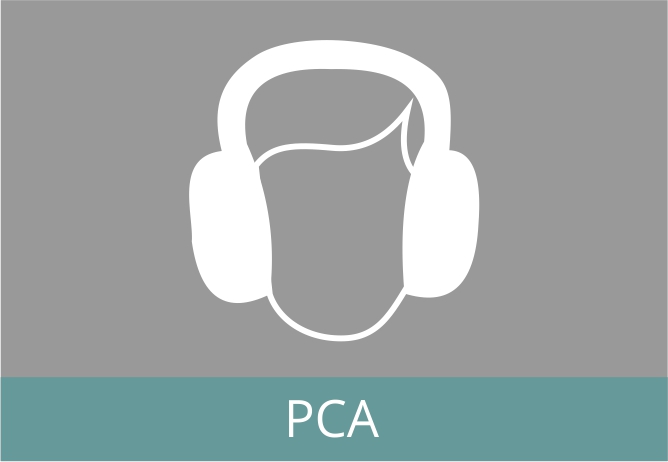 %c3%adcones cursos pca2
