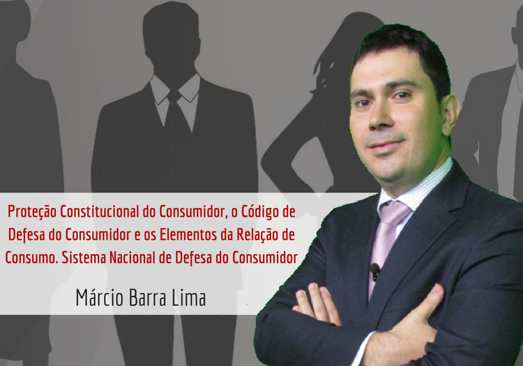 Protecao%20constitucional%20do%20fornecedor