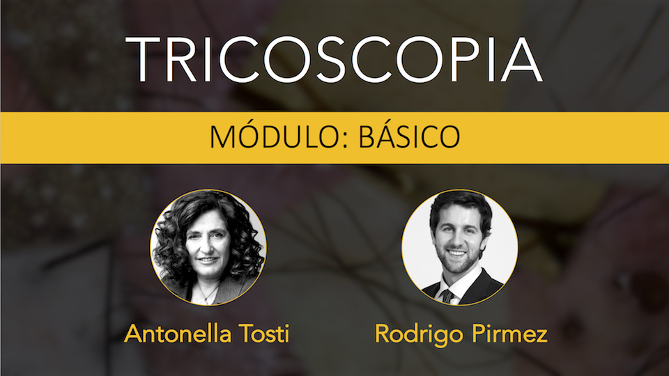 Imagem%20curso%20modulo%20ba%cc%81sico%20960x540