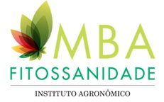 Logo%20mba