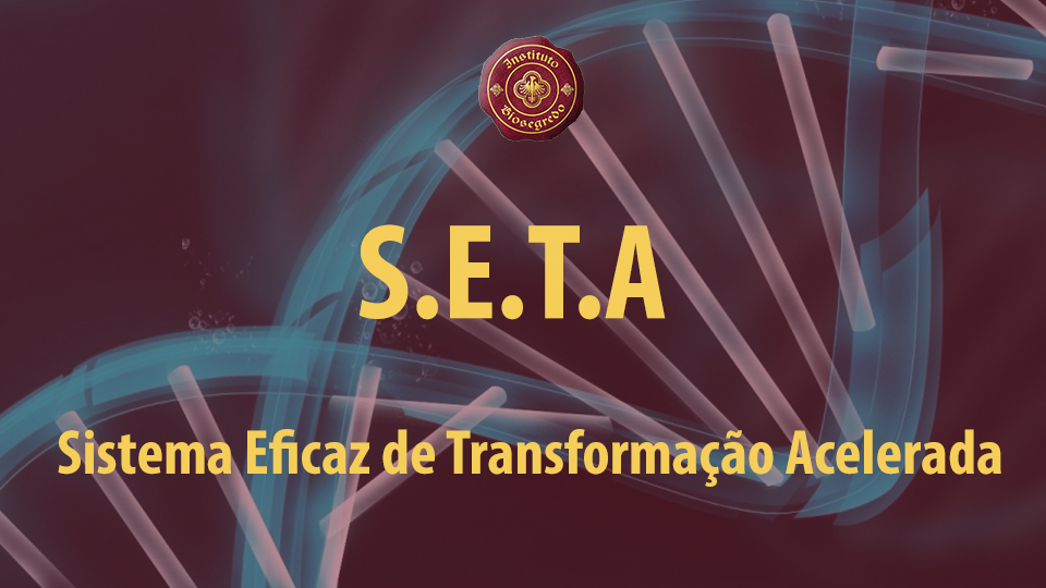 Seta%20960x540