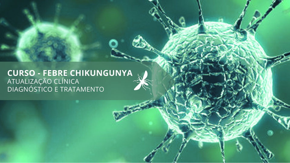Card chikungunya 960 540