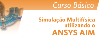 2 curso aim basico