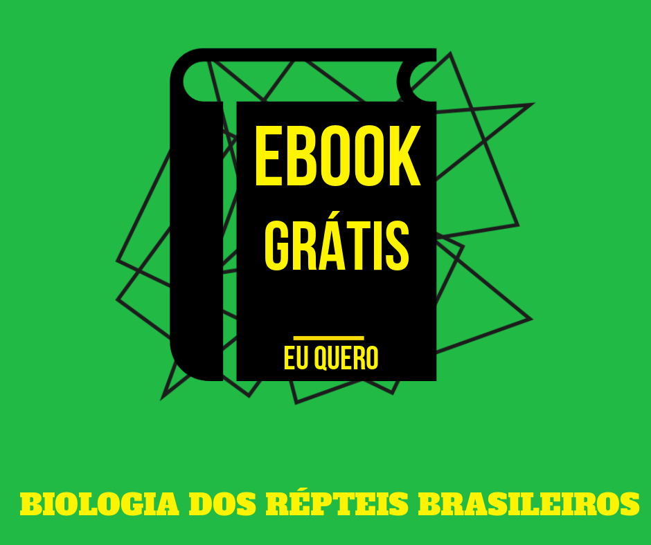 Flimbo%20 7