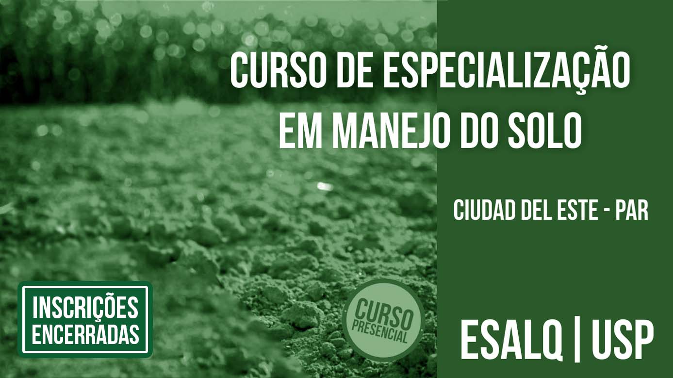 Curso%20ciudad%20del%20este encerrado