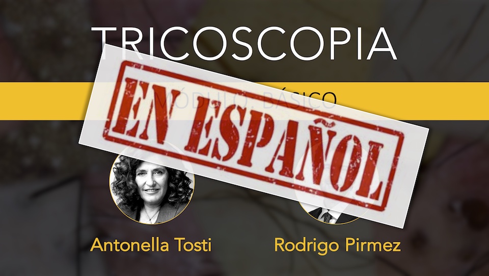 Imagem%20curso%20modulo%20ba%cc%81sico%20spanish%20960x540