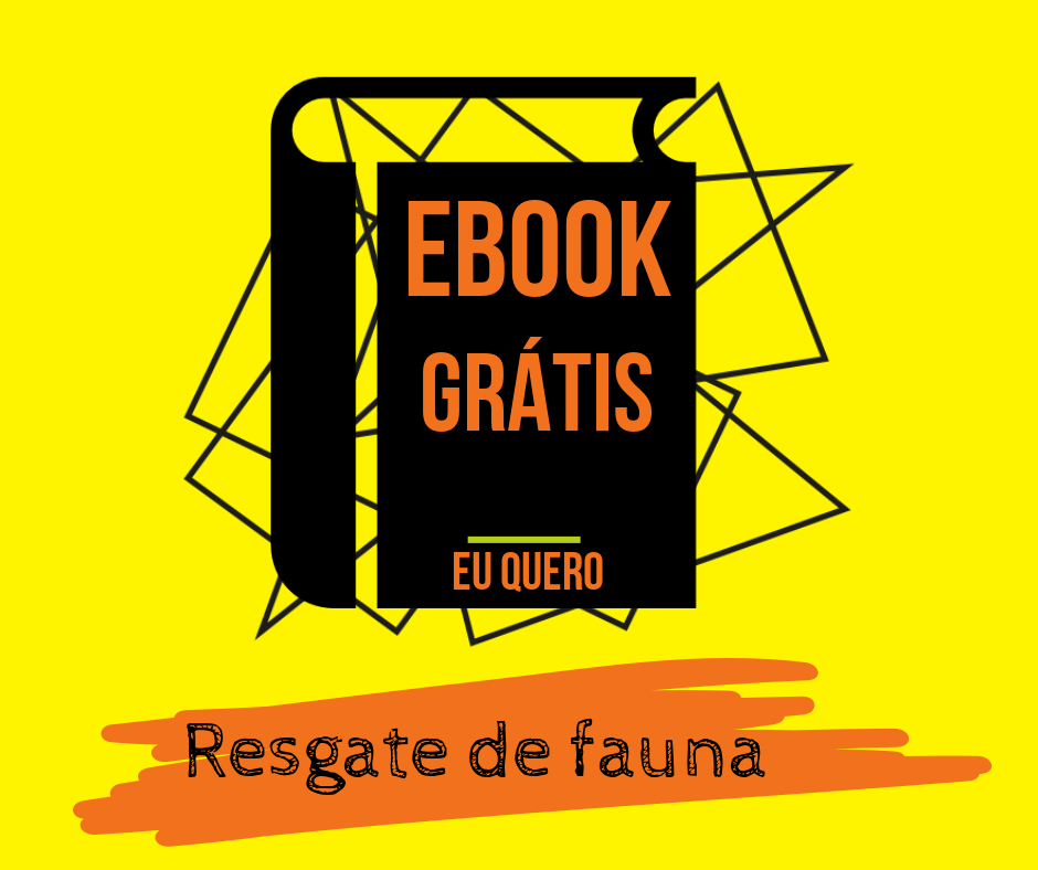 Flimbo%20 1