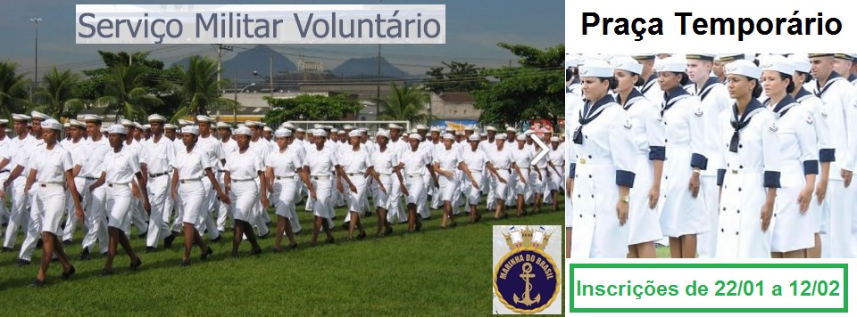 Melhor curso para concurso publico