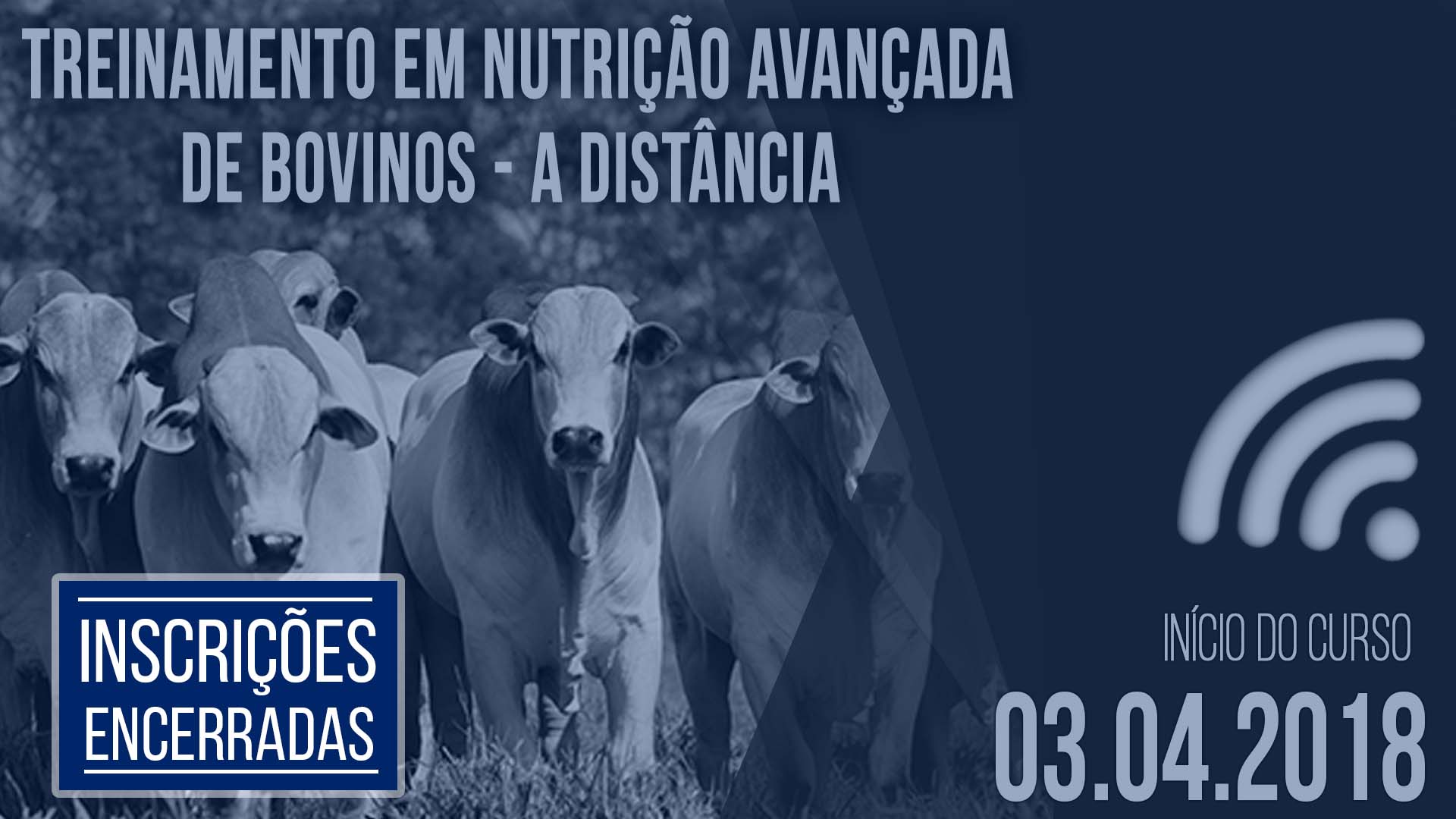 Nutri%c3%a7ao de bovinos 3do4 encerrado