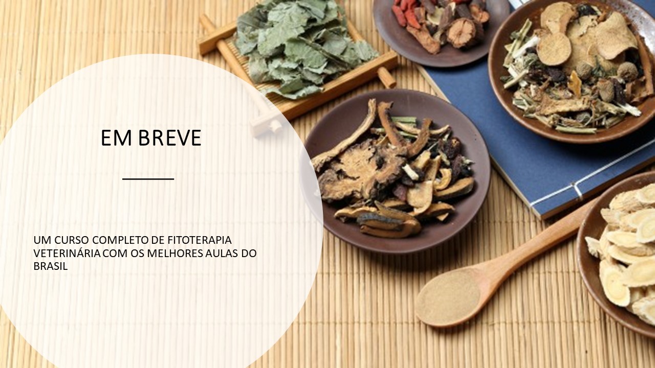 Fitoterapia%20chinesa%20veterin%c3%a1ria%20banner%20pre%20lan%c3%a7amento%202