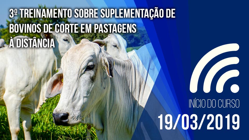 Ctrh%20 %202019%20 %203%c2%ba%20treinamento%20sobre%20suplementa%c3%a7%c3%a3o%20de%20bovinos%20de%20corte%20em%20pastagens%20v2
