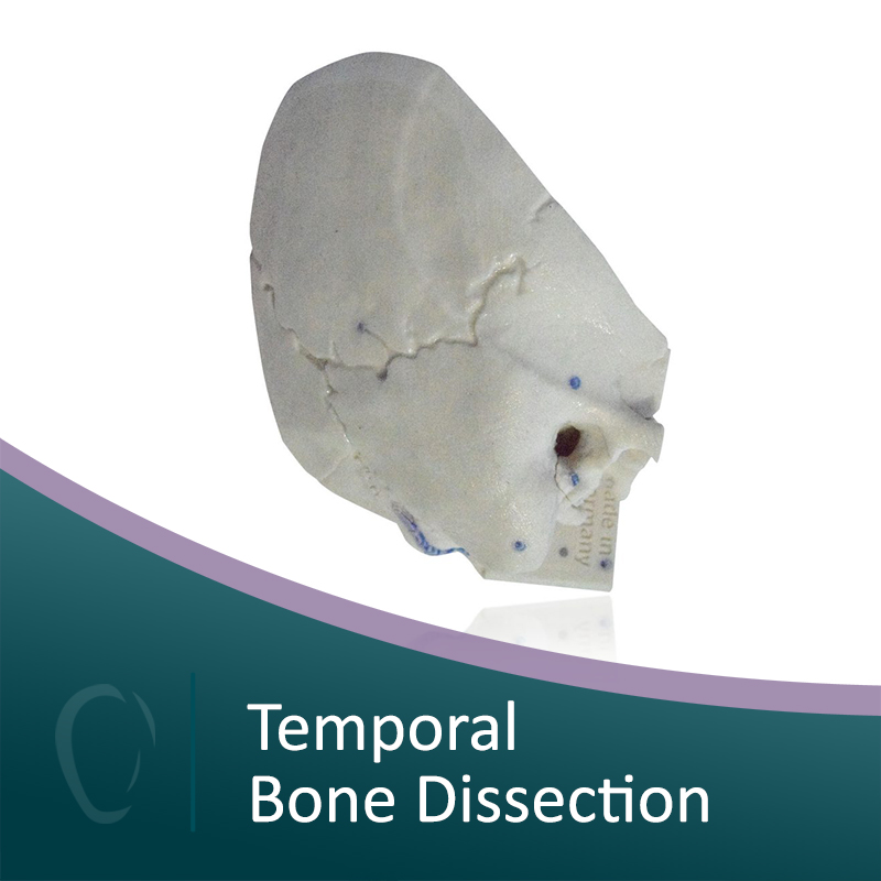 Online Temporal Bone Dissection Otology University EN