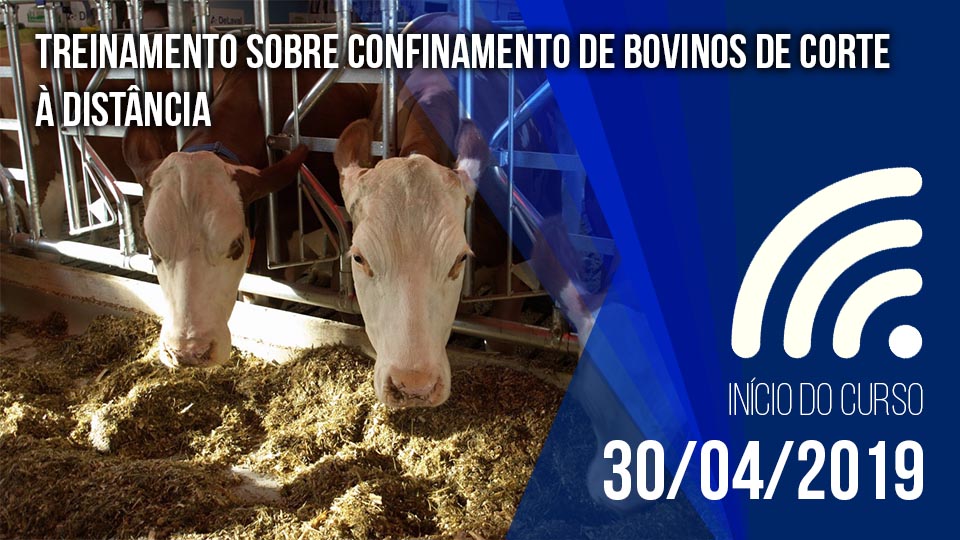 Ctrh%20 %202019%20 %20confinamento%20de%20bovinos%20de%20corte%20v1