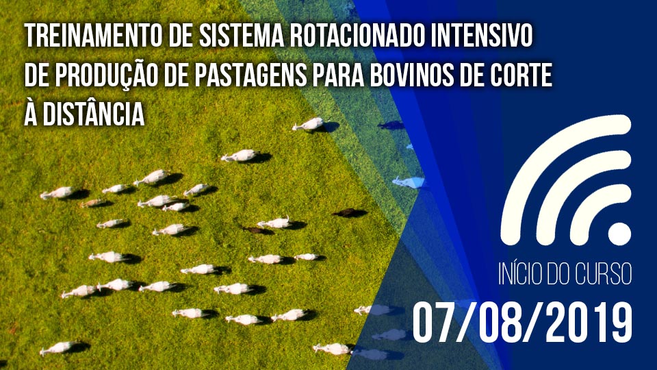 Ctrh%20 %202019%20 %203%c2%ba%20rotacionado%20bovino%20de%20corte%20v1.1