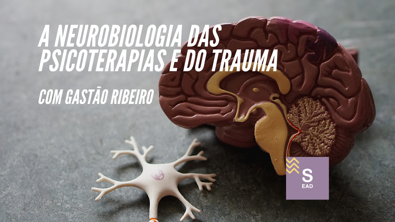 A%2bneurobiologia%2bdas%2bterapias%2be%2bdo%2btrauma