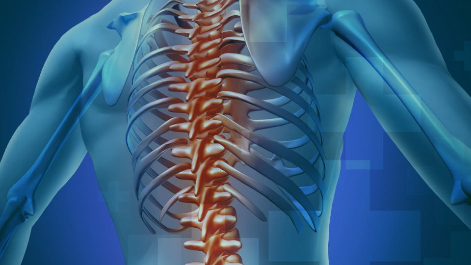 Rm coluna vertebral