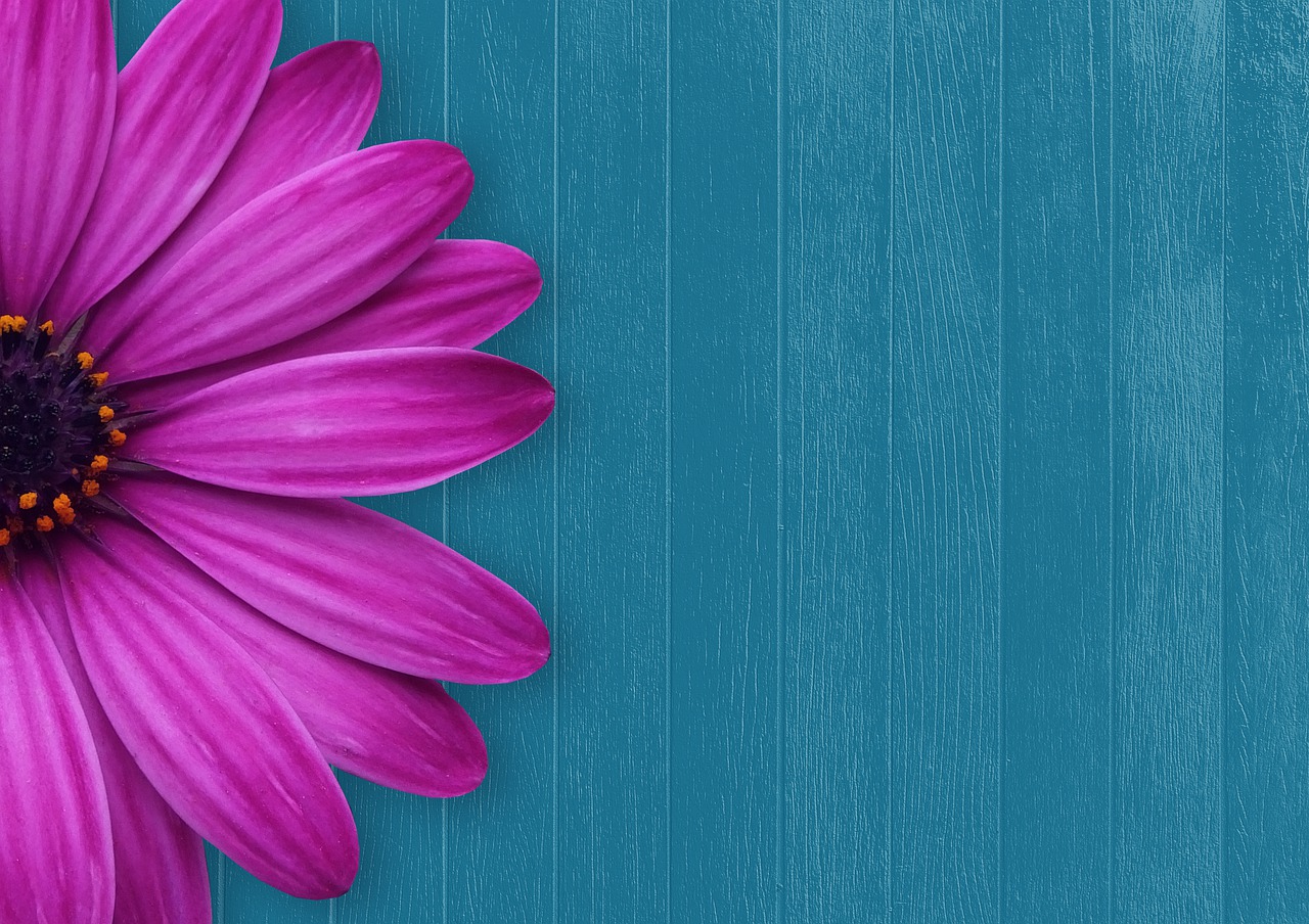 Background 4210320 1280