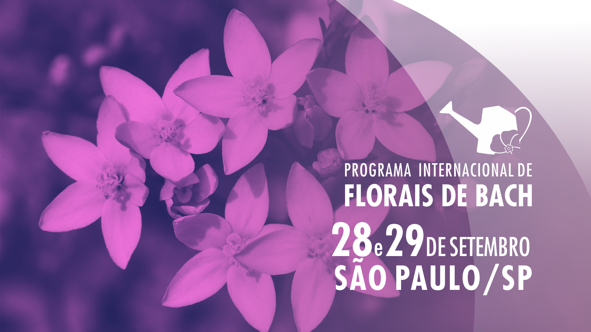 2019 02%20 %20banner%20site%20home%20cursos%20 %20curso%20s%c3%83o%20paulo%2028%20e%2029%20de%20setembro
