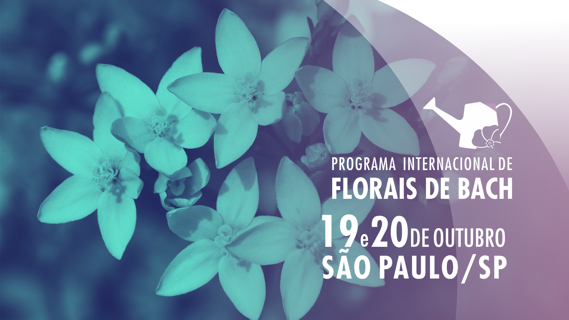 2019 02%20 %20banner%20site%20home%20cursos%20 %20curso%20s%c3%83o%20paulo%2019%20e%2020%20de%20outubro