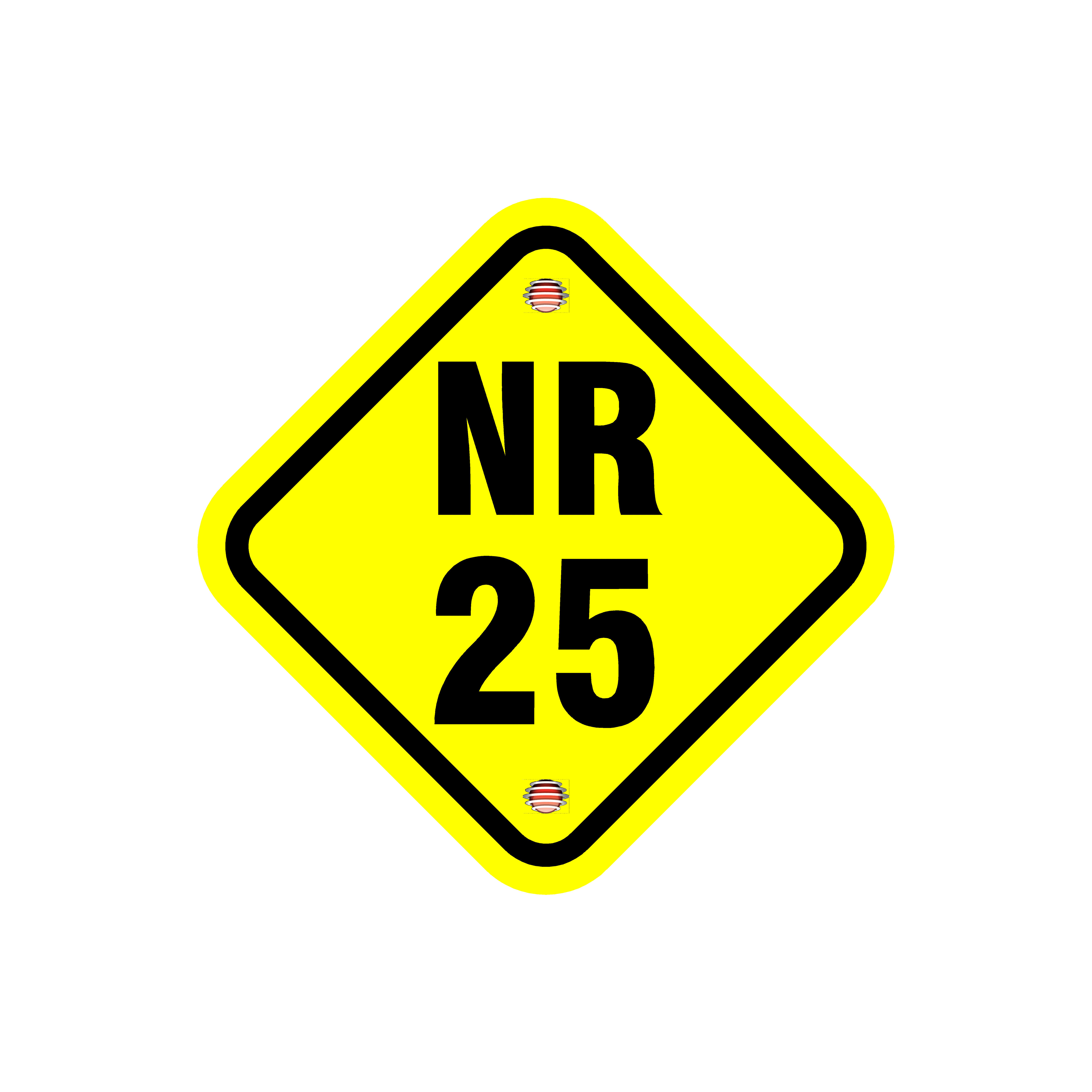 Nr 25