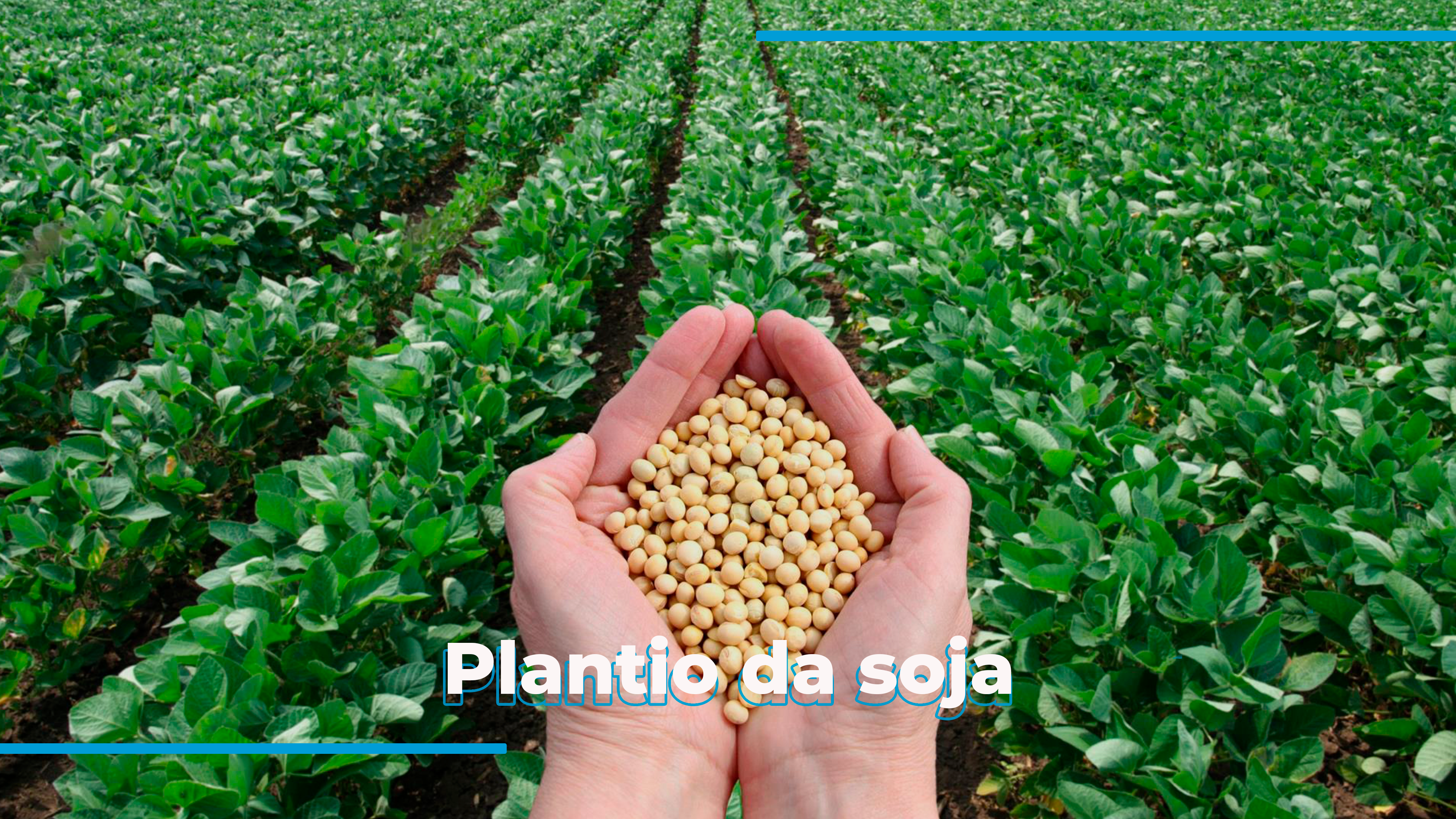 Soja
