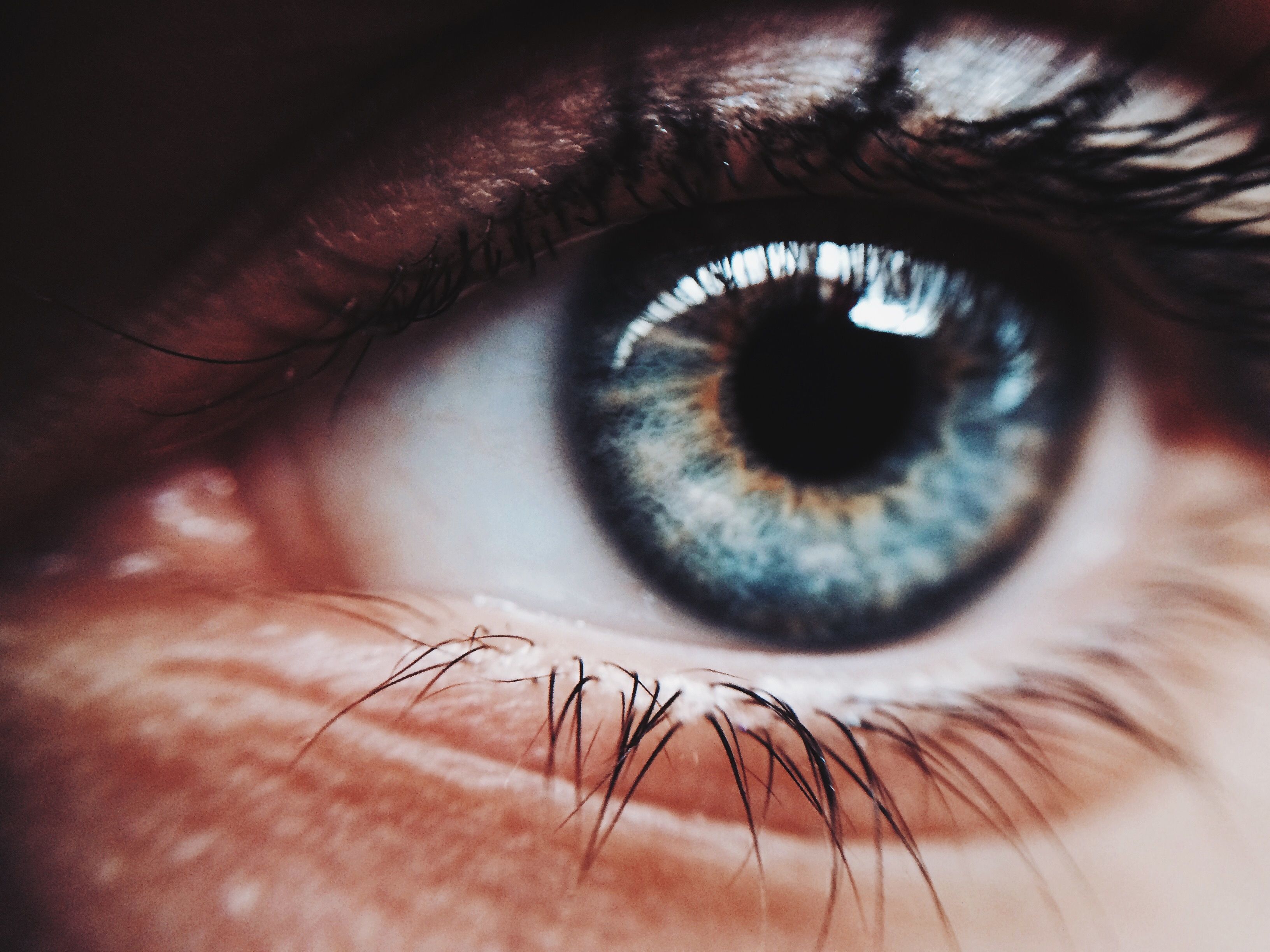 Extreme close up of person eye 586916241 57698ad95f9b58346a30312b