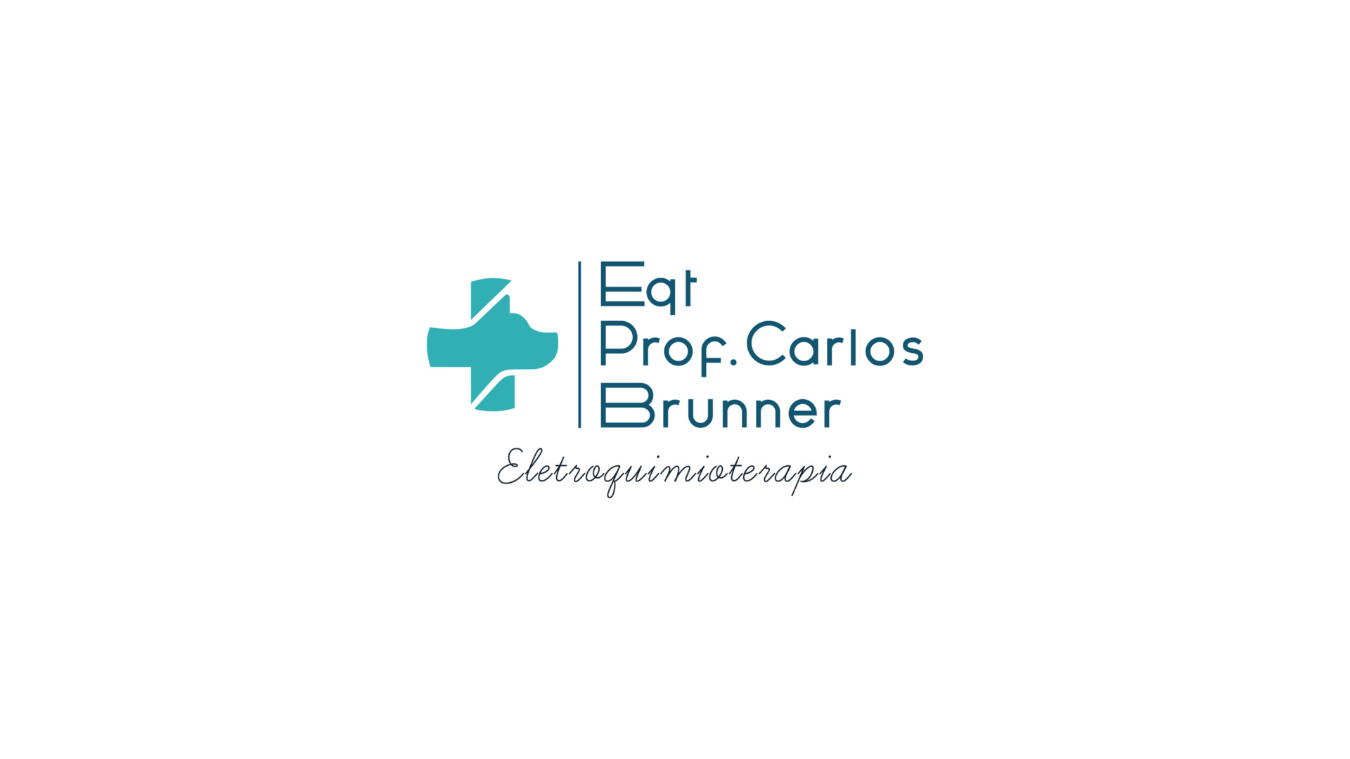 Logo size