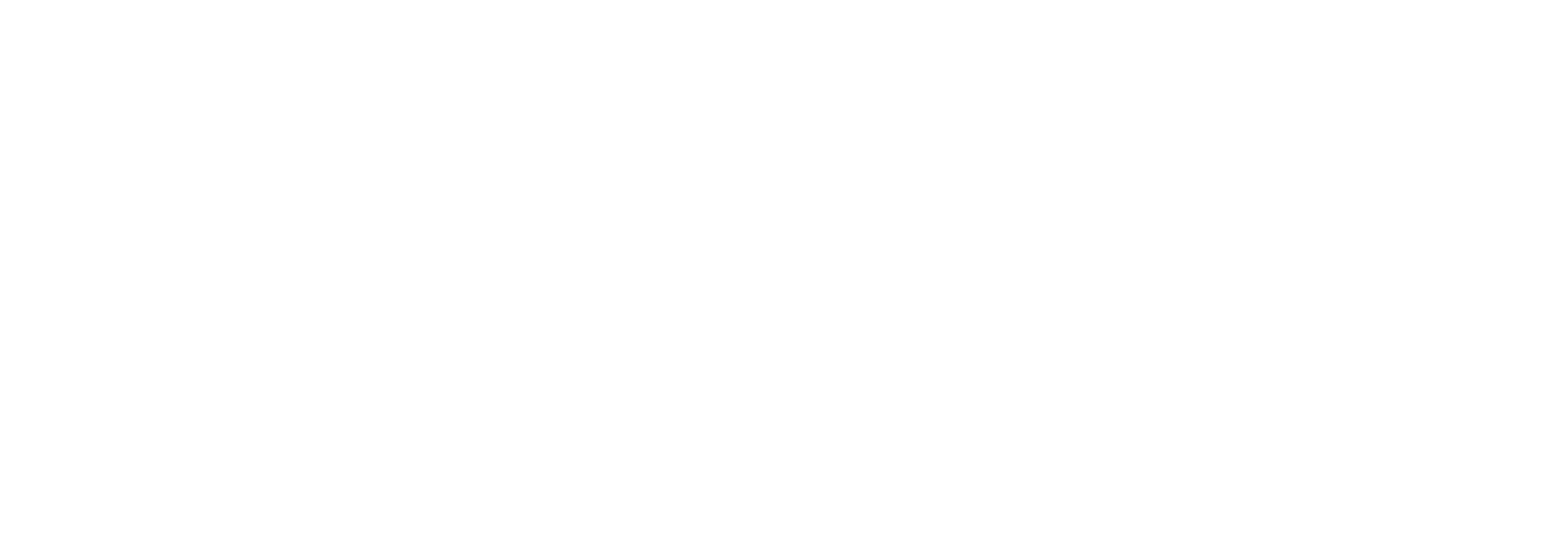 Logo iesss italia white