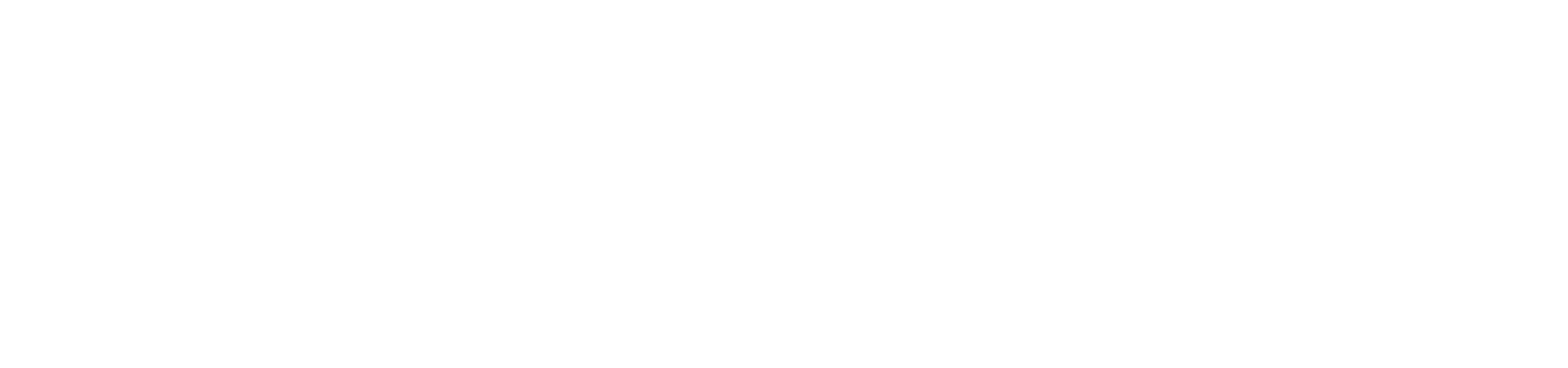 ESSS Virtual | Português