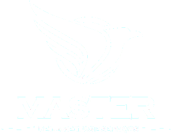 MASTER ONLINE
